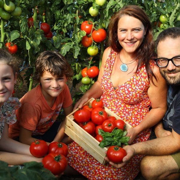 Tomates 2025-064