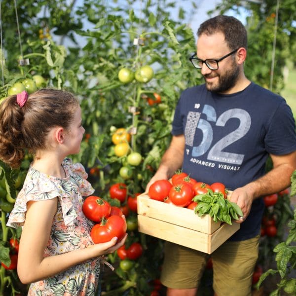 Tomates 2025-080